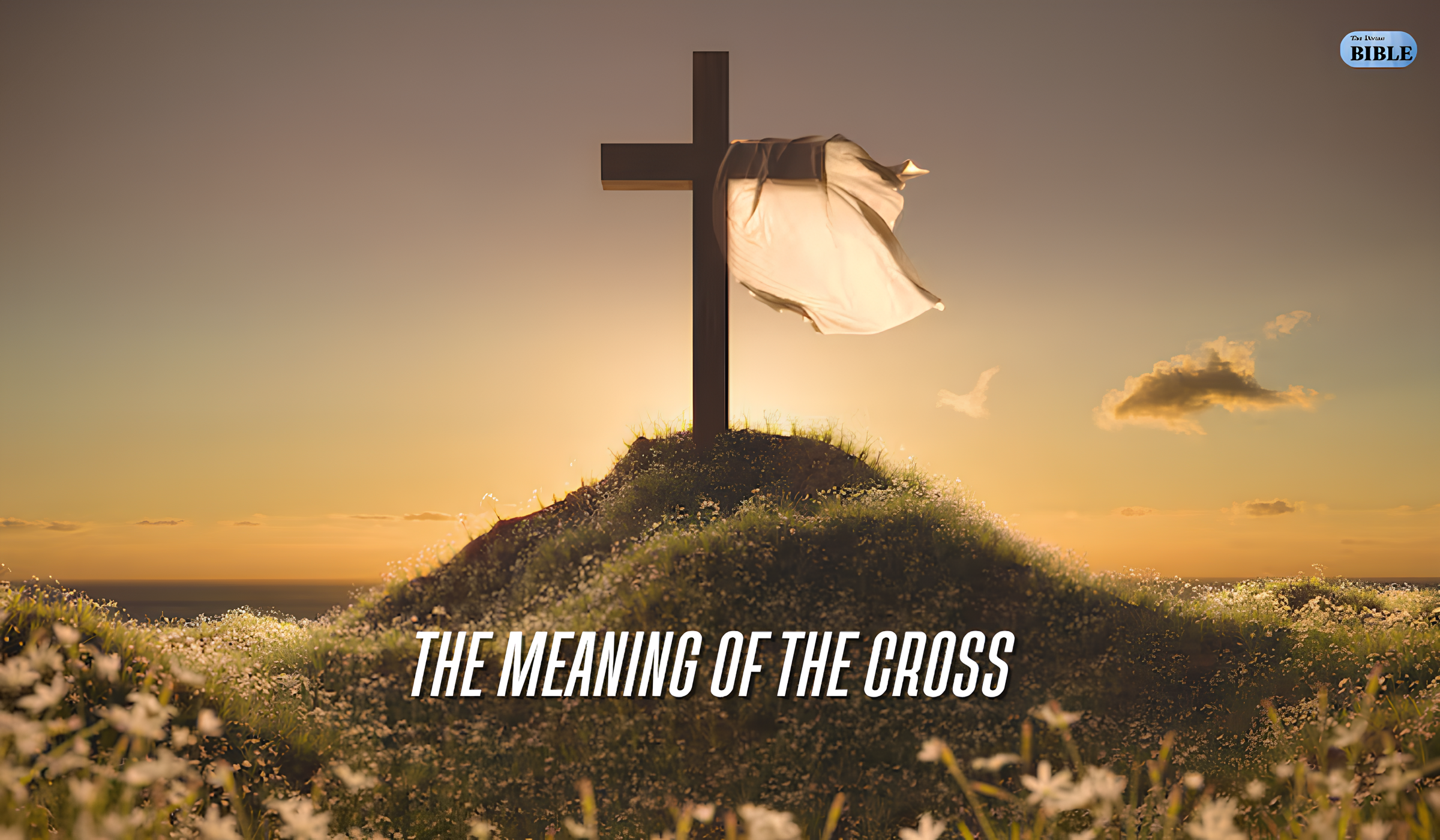 The Meaning of the Cross